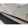 Recambio de puerta delantera izquierda para skoda fabia ii (542) 1.2 tsi referencia OEM IAM   