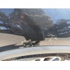 Recambio de aleta delantera derecha para opel crossland x / crossland (p17, p2qo) 1.5 turbo d (75) referencia OEM IAM   