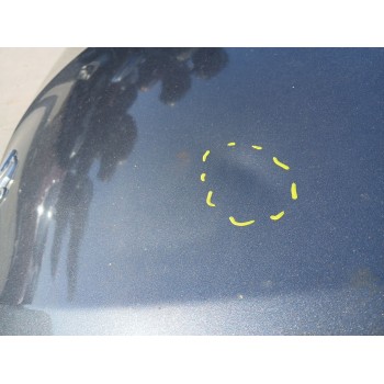 Recambio de capot para peugeot 208 i (ca_, cc_) 1.4 hdi referencia OEM IAM   
