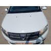 Recambio de capot para dacia sandero ii (b8_) 1.5 dci referencia OEM IAM   