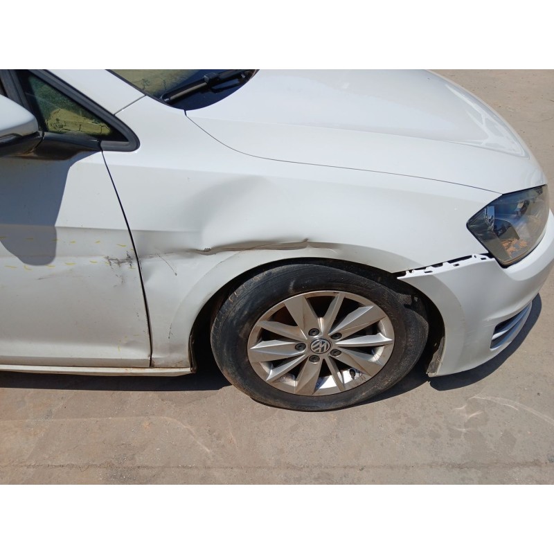 Recambio de aleta delantera derecha para volkswagen golf vii (5g1, bq1, be1, be2) 1.6 tdi referencia OEM IAM   