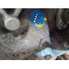 Recambio de despiece motor para jaguar xe (x760) 2.0 d referencia OEM IAM 204DTD  