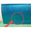 Recambio de puerta delantera izquierda para seat leon (5f1) 1.4 tsi referencia OEM IAM 5F4831055A  