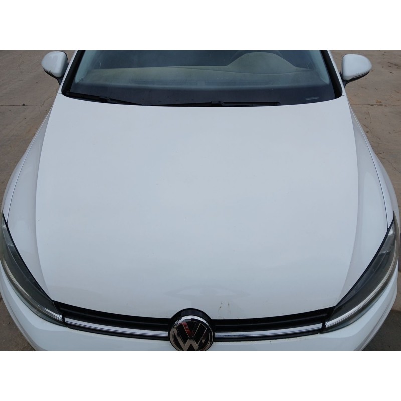 Recambio de capot para volkswagen golf vii (5g1, bq1, be1, be2) 1.0 tsi referencia OEM IAM   