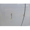 Recambio de puerta trasera derecha para hyundai i20 i (pb, pbt) 1.2 referencia OEM IAM   