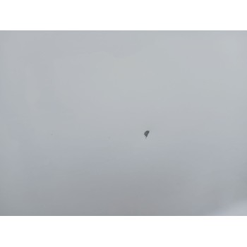 Recambio de puerta trasera derecha para peugeot 2008 (--.2013) referencia OEM IAM   