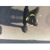 Recambio de puerta delantera izquierda para seat altea xl (5p5, 5p8) 1.6 tdi referencia OEM IAM   