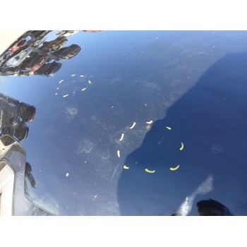 Recambio de capot para renault clio v (b7_) 1.0 lpg (b7mt) referencia OEM IAM   