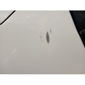 Recambio de aleta delantera izquierda para citroën c3 iii (sx) 1.2 thp 110 referencia OEM IAM   