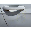 Recambio de puerta delantera derecha para volkswagen golf vii (5g1, bq1, be1, be2) 2.0 tdi referencia OEM IAM   