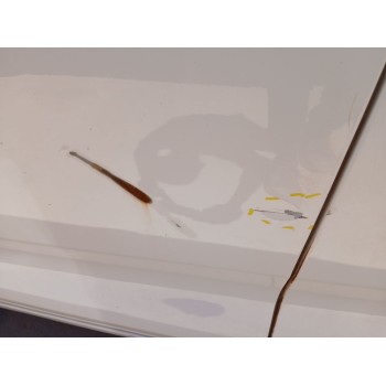 Recambio de puerta delantera izquierda para kia carens iv 1.6 gdi referencia OEM IAM   