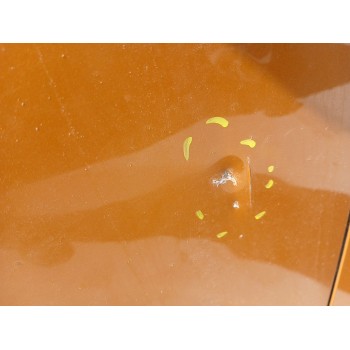 Recambio de puerta delantera derecha para renault scénic iv (j9_) 1.3 tce 140 referencia OEM IAM   