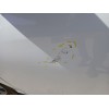 Recambio de puerta delantera izquierda para toyota yaris (_p13_) 1.5 hybrid (nhp130_) referencia OEM IAM   