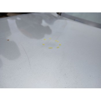 Recambio de capot para nissan juke (f15) 1.2 dig-t referencia OEM IAM   