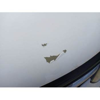 Recambio de capot para opel zafira tourer c (p12) 1.4 (75) referencia OEM IAM   