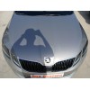 Recambio de capot para skoda octavia iii combi (5e5, 5e6) 2.0 tdi referencia OEM IAM   
