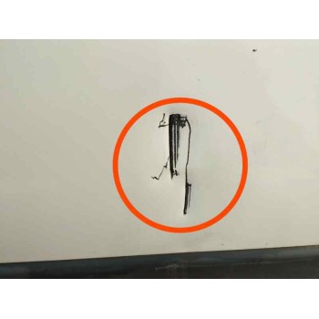 Recambio de puerta lateral corredera derecha para fiat ducato furgoneta (250) 100 multijet 2,2 d referencia OEM IAM 1344993080  