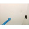 Recambio de puerta trasera derecha para toyota verso (_r2_) 1.6 (zgr20_) referencia OEM IAM 670030F050  