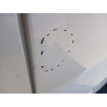 Recambio de porton trasero derecho para renault trafic iii furgoneta (fg_) 1.6 dci 95 (fgmj, fgmr) referencia OEM IAM   