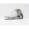 Recambio de elevalunas delantero izquierdo para hyundai matrix (fc) 1.6 referencia OEM IAM 9881017100  