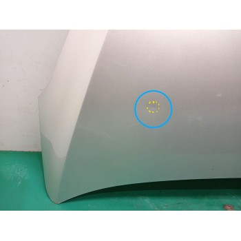 Recambio de capot para ford fiesta vii (hj, hf) 1.1 ti-vct referencia OEM IAM 2508883  