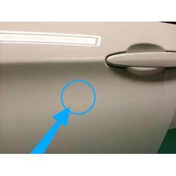 Recambio de puerta delantera izquierda para bmw x1 (e84) sdrive 18 d referencia OEM IAM 41009628745  