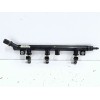 Recambio de rampa inyectora para fiat panda (312_, 319_) 1.2 (312pxa1a) referencia OEM IAM CB261B  