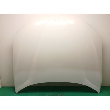 Recambio de capot para bmw x1 (e84) sdrive 18 d referencia OEM IAM 41002993151  