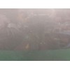 Recambio de capot para hyundai i10 ii (ba, ia) 1.0 referencia OEM IAM 66400B9000  