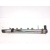 Recambio de rampa inyectora para bmw x1 (e84) sdrive 18 d referencia OEM IAM 780912705 0445214182 