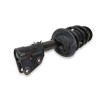 Recambio de amortiguador delantero izquierdo para renault master kasten 2.3 dci diesel cat referencia OEM IAM 543028774R  
