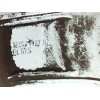Recambio de llanta para ford focus ii turnier (da_, ffs, ds) 1.6 tdci referencia OEM IAM 3M5J1007BA 6.5JX16H2 ET 52.5 H5 5X108