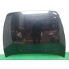 Recambio de capot para volvo s40 berlina 2.0 diesel cat referencia OEM IAM 31371415  