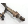Recambio de sonda lambda para ford transit v363 furgoneta (fcd, fdd) 2.0 ecoblue referencia OEM IAM GK215E145AC 0281006790 