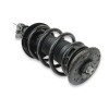Recambio de amortiguador delantero derecho para renault master kasten 2.3 dci diesel cat referencia OEM IAM 543028774R  