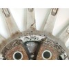 Recambio de llanta para alfa romeo 156 1.9 jtd 8v distinctive referencia OEM IAM 60689246 7JX17H2 ET40.5 H5 5X100