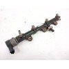 Recambio de rampa inyectora para fiat talento furgoneta (296_) 2.0 ecojet referencia OEM IAM 175219059R  