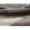 Recambio de llanta para renault trafic ii furgoneta (fl) 1.9 dci 100 (fl0c) referencia OEM IAM 1011084 6JX16H2 ET50 5H 5X120