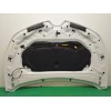 Recambio de capot para renault clio v (b7_) 1.5 blue dci 100 (b7ad) referencia OEM IAM 651224027R 651009833R 651222324R