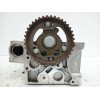 Recambio de culata para renault scenic iii 1.5 dci diesel fap referencia OEM IAM 110421615R  