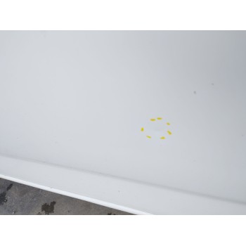 Recambio de puerta delantera izquierda para ford mondeo iv (ba7) 1.8 tdci referencia OEM IAM   