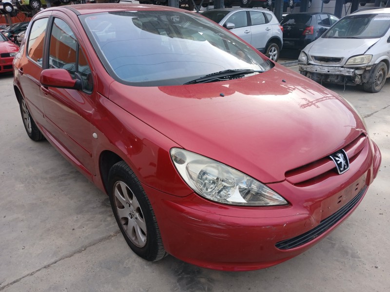 PEUGEOT 307 (S1)