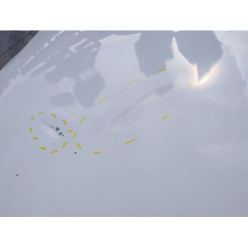 Recambio de capot para kia carens iv 1.7 crdi referencia OEM IAM   