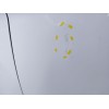 Recambio de puerta delantera izquierda para ford fiesta vi (cb1, ccn) 1.4 referencia OEM IAM   