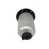 Recambio de soporte filtro gasoil para renault master kasten 2.3 dci diesel cat referencia OEM IAM 164004169R  
