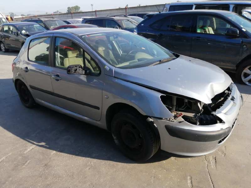 PEUGEOT 307 (S1)