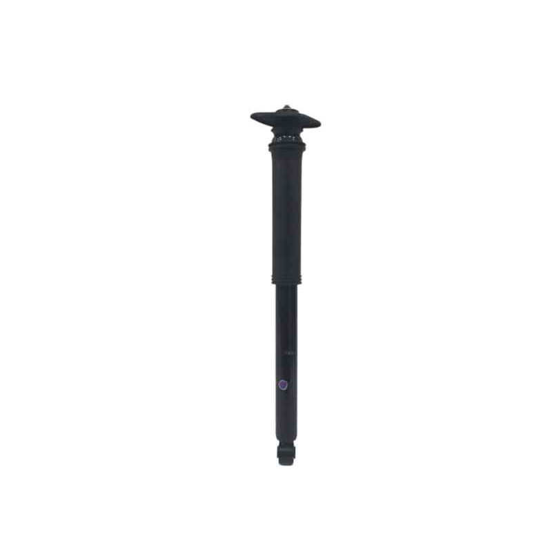 Recambio de amortiguador trasero derecho para mg zs suv (azs1) 1.0 t-gdi referencia OEM IAM 10825265  