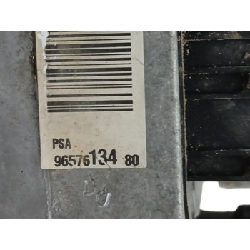 Recambio de bomba direccion para citroën c4 berlina 1.6 16v cat (nfu / tu5jp4) referencia OEM IAM 9657613480  