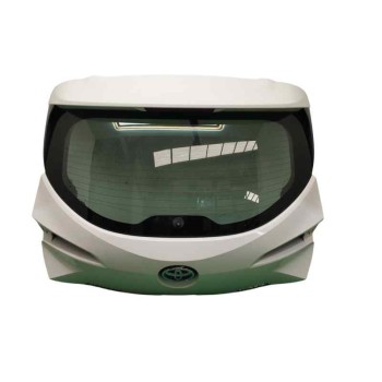 PORTON TRASERO 6700502610 