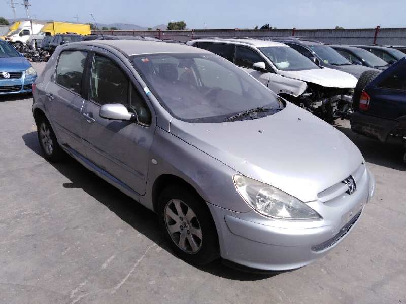 PEUGEOT 307 (S1)